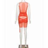 Spring Women'S Fashion Design See-Through Mesh Sexy Low Back Slim Bodycon Dress