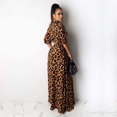 Women's Clothing Leopard Printed 5/4 Sleeve Long Dress