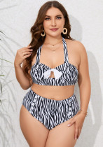 Plus Size Women Zebra Print Swimwear Two Pieces