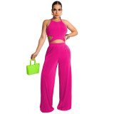 Women's solid Velvet Strapless tank top wide leg trousers two-piece jacket