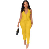 Women's Spring Summer Casual Suit Tank Top Trousers Two-Piece Set