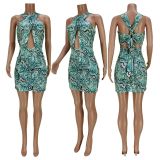 Women's Nightclub Sexy Wrap Breast Cutout Halter Neck Tie Print Dress