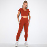 Women seamless knitting Ribbed V-neck short-sleeved Top and Cropped Pants yoga clothing two-piece set