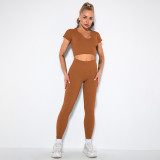 Women seamless knitting Ribbed V-neck short-sleeved Top and Cropped Pants yoga clothing two-piece set