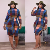 Women Plaid Print Long Sleeve Dress