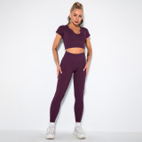 Women seamless knitting Ribbed V-neck short-sleeved Top and Cropped Pants yoga clothing two-piece set