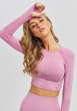 Jacquard Seamless Long-Sleeved Gradient Fitness Long-Sleeved Yoga Top Clothes