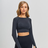 Jacquard Seamless Long-Sleeved Gradient Fitness Long-Sleeved Yoga Top Clothes