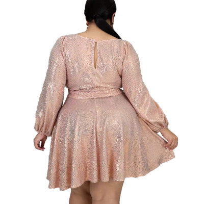 Fall Spring Fashion Shiny Midi Plus Size Women'S Dress