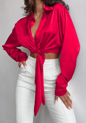 Spring Solid Chic Casual Satin Turndown Collar Long Sleeve Top