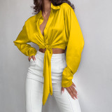 Spring Solid Chic Casual Satin Turndown Collar Long Sleeve Top