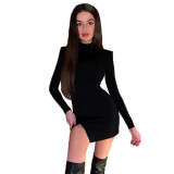Spring Dress Intellectual Style Chic Women's Polyester Long Sleeve Turtleneck Tight Fitting Dress