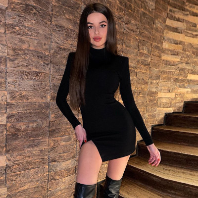 Spring Dress Intellectual Style Chic Women's Polyester Long Sleeve Turtleneck Tight Fitting Dress