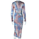 Women Round Neck Print Long Sleeve Bodycon Dress