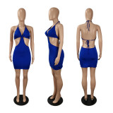 Women Sexy Halter Neck Tie Backless Solid Dress