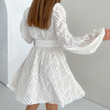 Spring and summer jacquard dress high waist a-line skirt lantern sleeve lace dress