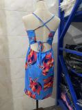Spring Summer Straps Low Back Tie Digital Print Dress Hakama Elastic Waist Shorts Two Piece Set