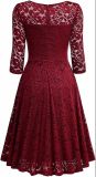 Chic Elegant Sexy V Neck Lace Three Quarter Sleeve A-Line Dress