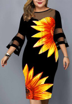 Plus Size Ladies Print Mesh Dress