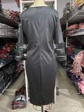 Plus Size Ladies Print Mesh Dress