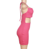 Spring Summer Women's Fashion Halter Neck Sexy Low Back Cutout Slim Bodycon Dress