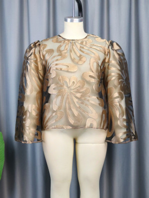 See-Through Shiny Round Neck long-sleeved top Fashion all-match shoulder loose women's jacket