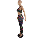 Ladies Spring Summer Style Slim Multicolor Printed Trouser Set