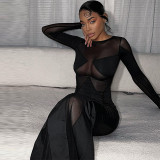 Women's Summer Fashion Sexy Mesh See-Through Slim Round Neck Long Sleeve Dress