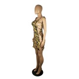 Women's Sexy Fashion Nightclub Tie Low Back Sleeveless Leopard Dress