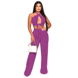 Sleeveless solid Halter Neck top Two Piece Casual Women's pants set