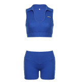 Klein Blue Solid Color Turndown Collar Sleeveless Pullover Yoga top + High Waist Shorts Sports Yoga Two-piece Set for Women