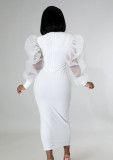 Women Mesh See-Through Balloon Sleeve Bodycon Dress