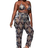 Women's Plus Size Two Pieces Swimsuit + Sexy Pants