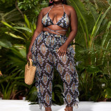 Women's Plus Size Two Pieces Swimsuit + Sexy Pants