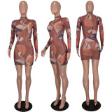 Spring Summer Sexy Print Mesh Long Sleeve Women's Bodycon Dress