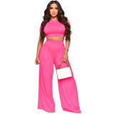 Women Casual Solid Crop Top and High Waisted Baggy Pants Two-Piece Set