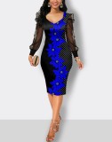 Fall Print Dress Women's Mesh Sleeves Pencil Midi Bodycon Dress