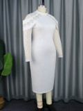 Flower Lace Dress Chic Elegant Stand Collar Slim Waist Midi Dresses