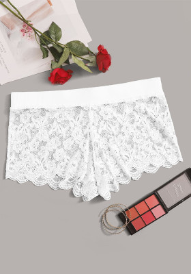 Sexy Lace See Through Brief Panty