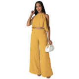 Women Sexy Sleeveless Crop Top and Pants Two-Piece Set