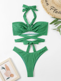 Women's Pleated Fabric Halter Neck Tie Two Pieces Bikini Swimsuit