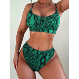 Snake Print Women's Two Pieces Swimsuit