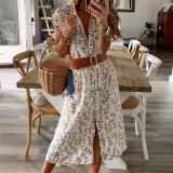 Women's Summer Fashion Stand Collar Loose Sleeveless Printed Maxi Dress