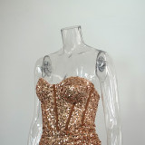 Women's Sheer Sequin Strapless Chic Slim Bodycon Dress