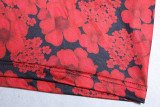 Fashion Print Sexy Deep V Long Sleeve Crop Top Bodycon Skirt Two-Piece Set