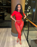 Women's Summer Sexy Solid Color Short-Sleeved Top See-Through Mesh Pants Two-Piece Set