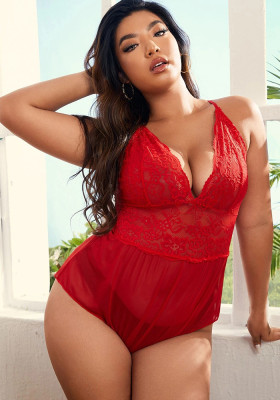 Plus Size See Through Lace Mesh Teddy Lingerie