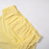 Women Sleeveless Crop Top andmesh See-Through Skirt Two-Piece Set