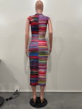Summer Women's Positioning Print Sleeveless Pad Dress