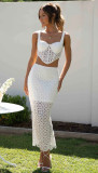 Spring Summer Lace Sleeveless Casual Holidays Fashionable Zipper Two-Piece Skirt Set